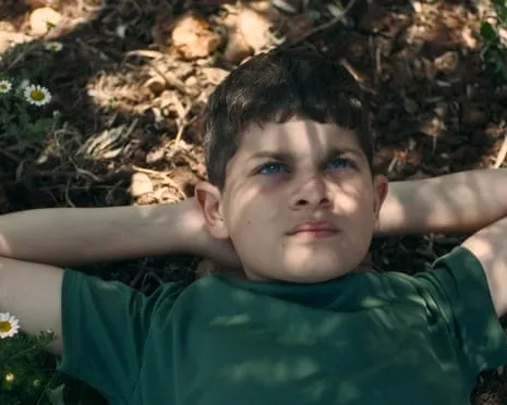 Israeli Minister of Culture Vows to Withdraw Ophir Awards Funding After Palestinian-Themed Movie Takes Best Feature
