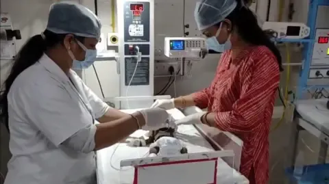 Baby Buried Alive in the Country Fights for Her Life