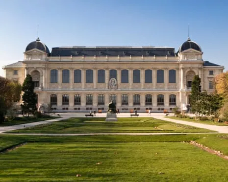 Invaluable Golden Pieces Stolen in Daring Robbery at French National Museum