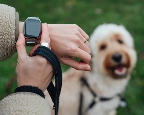 The Honest Scoop About Smartwatches? Living Is Better Devoid of a Hectoring Zealot on Your Wristwear